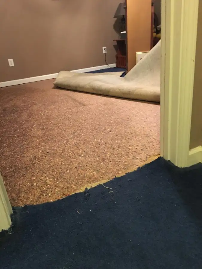 Carpet pad removal revealing water damage during Drying & Dehumidification in The Meadows