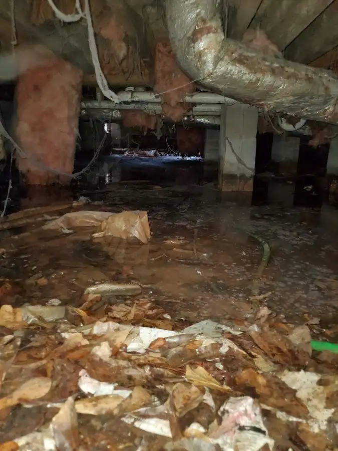 Crawl space flood assessment for Leak Detection & Repair in The Meadows